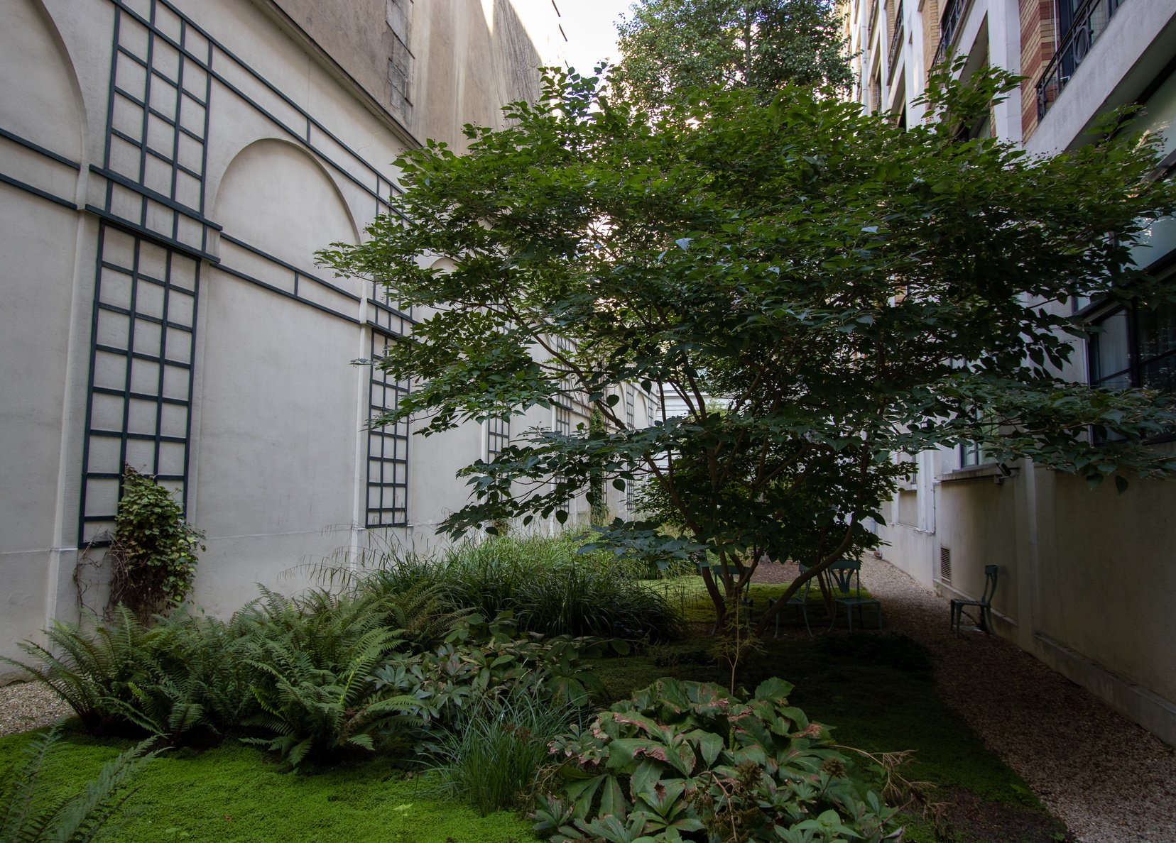 Jardin interieur, appart hotel Paris 6