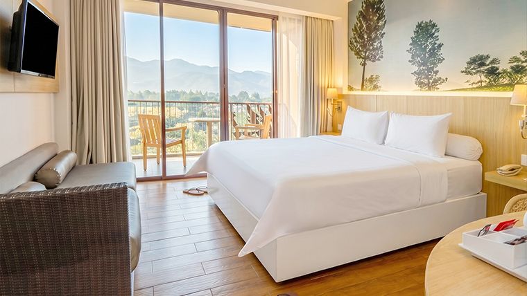 Deluxe Mountain View Room