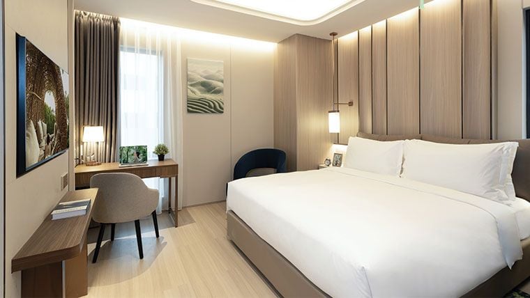 1 Bedroom Executive