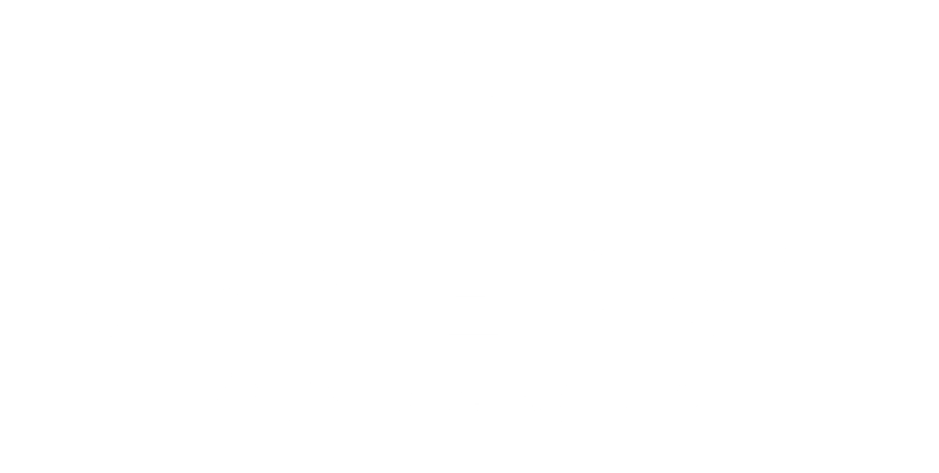 Synergy 2color Logo