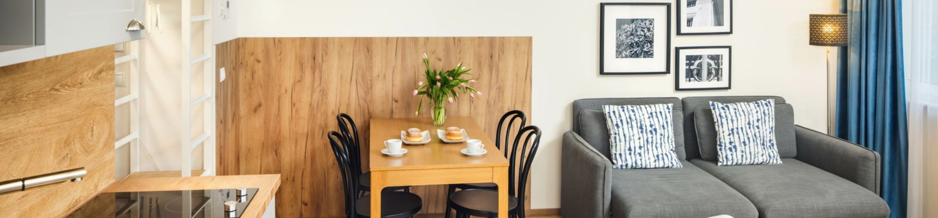 Studio Citadines South Vienna