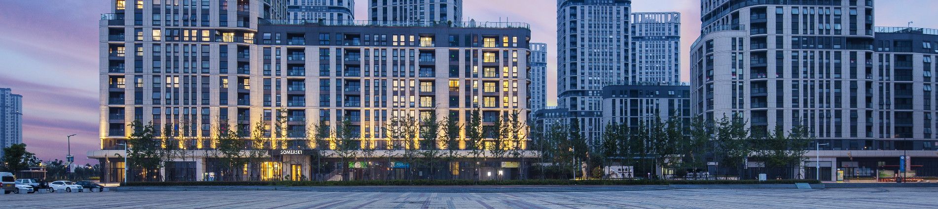 Overview Sr China Nanjing Olympic Som