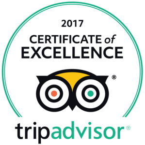 <strong>Certificate of Excellence 2017</strong></br><p><strong>TripAdvisor</strong></p>