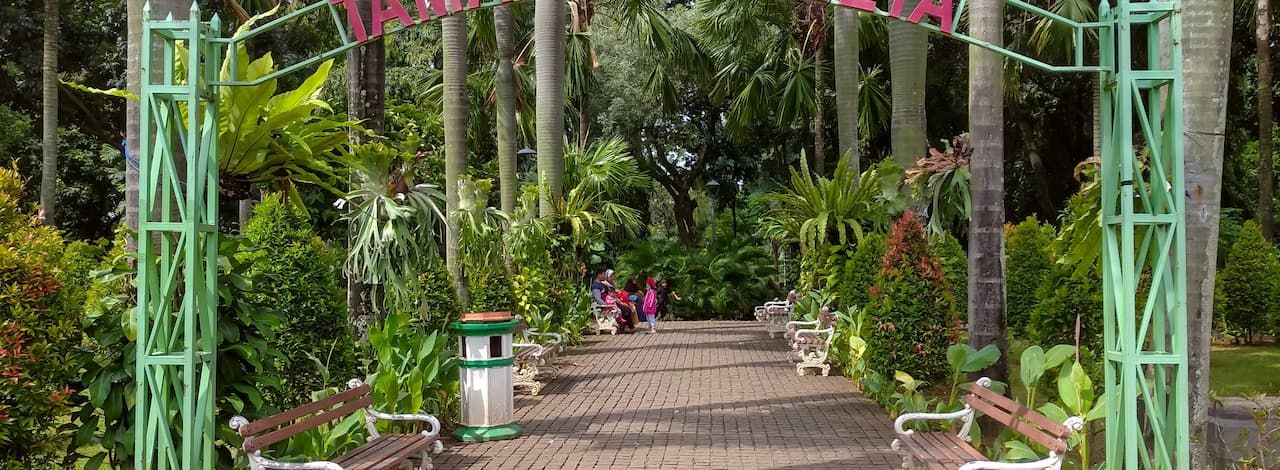 Menikmati Keindahan Oase Hijau di Taman Cattleya Jakarta