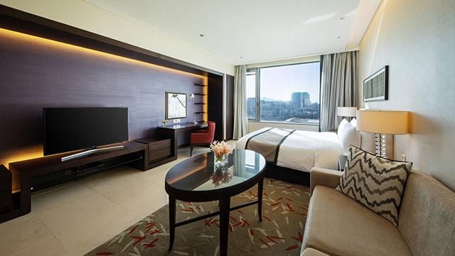 Overview Studio Premier Thumb