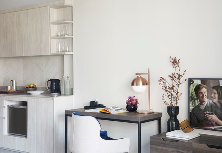 Deluxe_Working Area