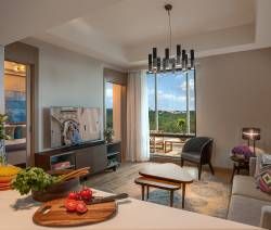 One-Bedroom Executive