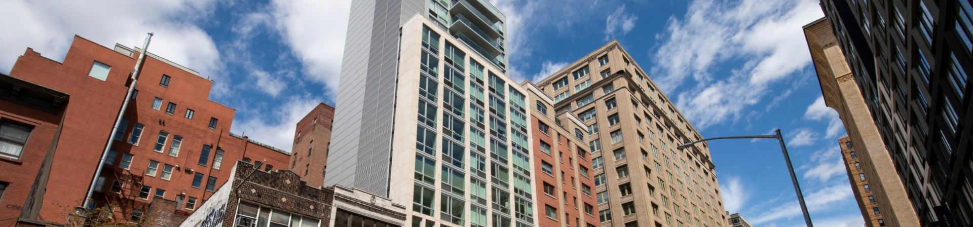 Synergy Chelsea Gallery