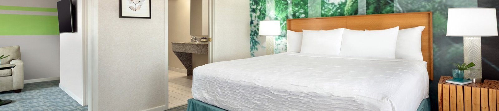Apartment Types The Domain Hotel Synergy Suite