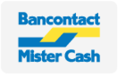 Accepted Credit Cards Mister Cash